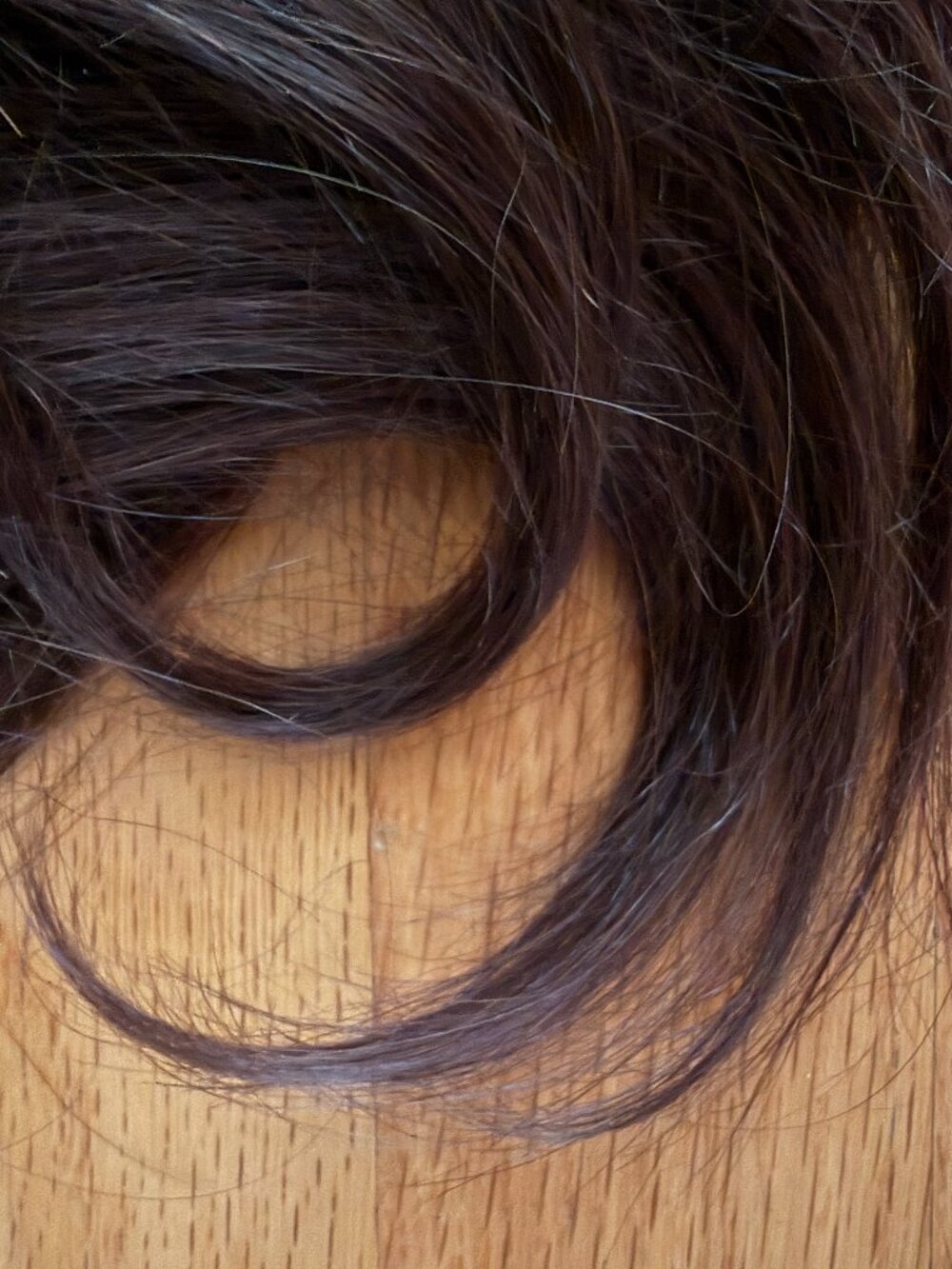 Luxy Ponytail Clip-in Extension - Chocolate Brown - Picture 8 of 13